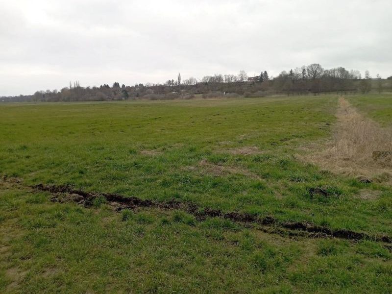 Land-/Forstwirtschaft in , 17087 Altentreptow - Bild 2