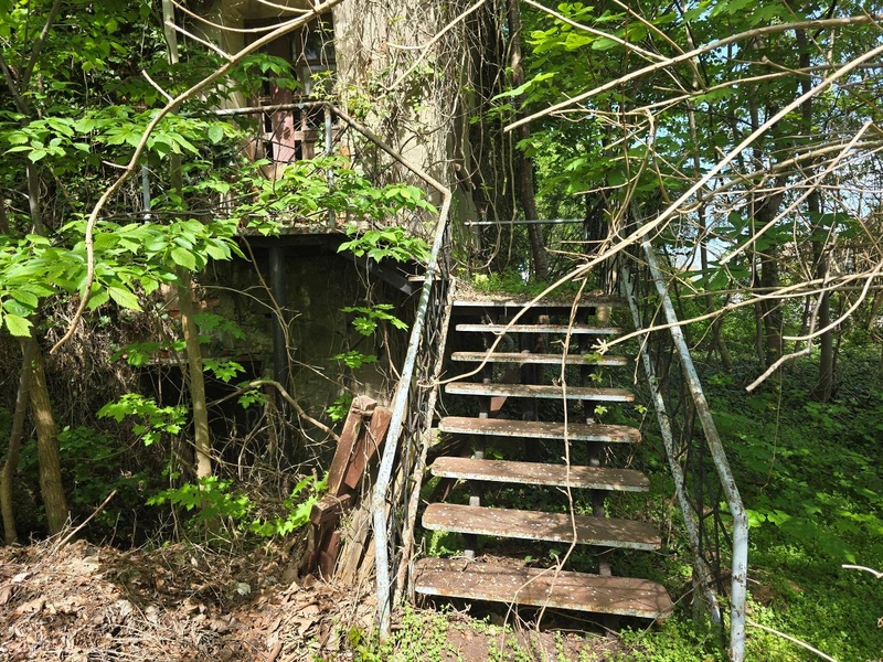 Wohnen/Gewerbe in Hofstraße 1, 17039 Woggersin - Bild 3