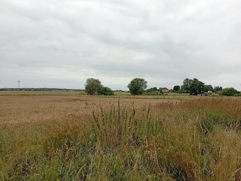 mecklenburg-vorpommern 612 K 45/23 Pensiner Siedlung 20, Loitzer Straße 43, 17109 Demmin 7