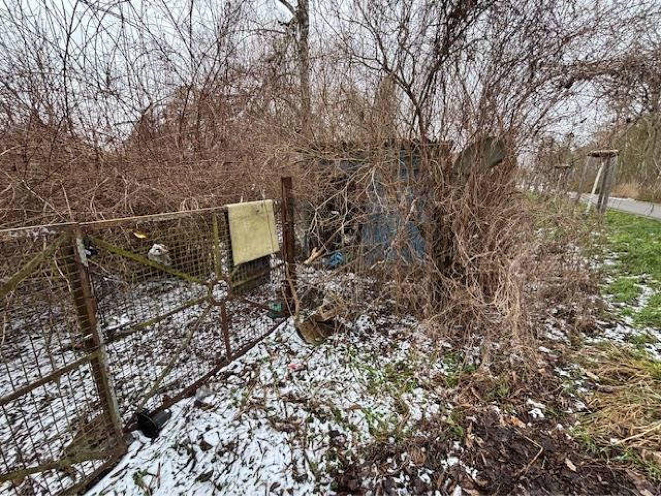 mecklenburg-vorpommern 612 K 46/24 Am Reitbahnweg, 17034 Neubrandenburg 14