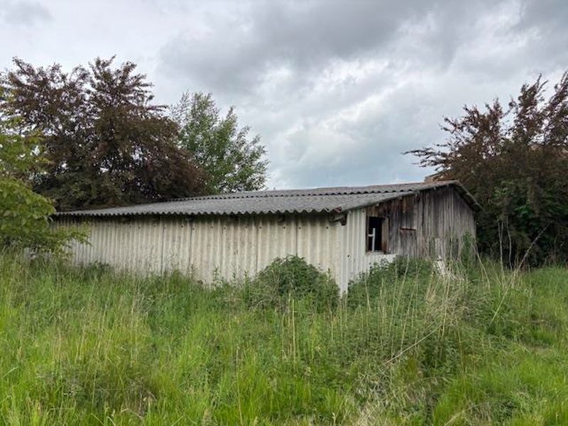 mecklenburg-vorpommern 612 K 5/25 Schloßstraße 7/7a, 17159 Dargun 6