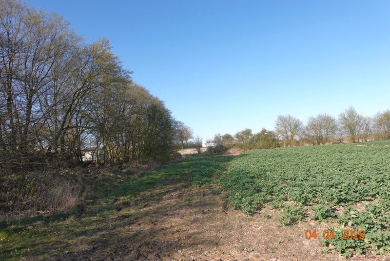 Grundstück in Anklamer Feld 4, 17109 Demmin - Bild 3