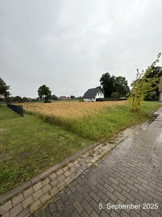 Grundstück in Alte Gärtnerei 15, 16, 17091 Rosenow - Bild 5