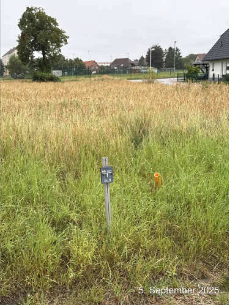 mecklenburg-vorpommern 613 K 22/25 Alte Gärtnerei 15, 16, 17091 Rosenow 11