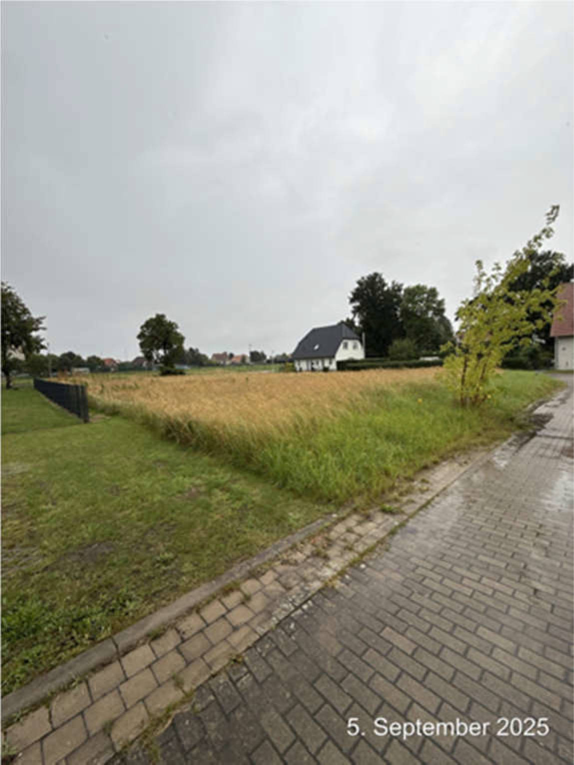 Grundstück in Alte Gärtnerei 15, 16, 17091 Rosenow - Bild 4