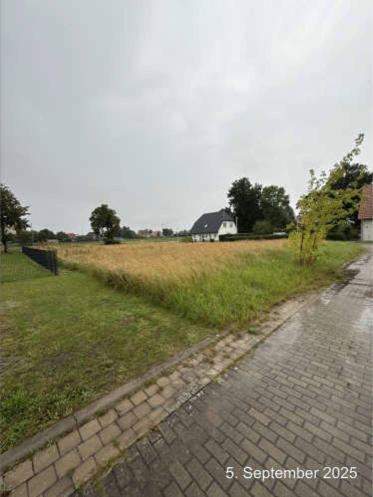 mecklenburg-vorpommern 613 K 22/25 Alte Gärtnerei 15, 16, 17091 Rosenow 6