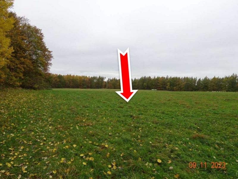 Land-/Forstwirtschaft in , 17111 Utzedel OT Leistenow - Bild 3