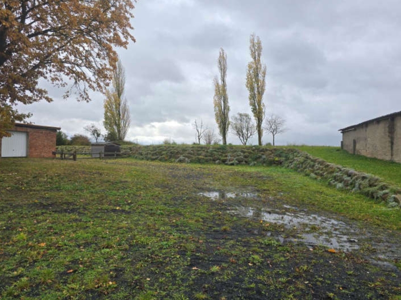 mecklenburg-vorpommern 613 K 23/25 Dorfstraße 4, 17099 Galenbeck OT Sandhagen 6