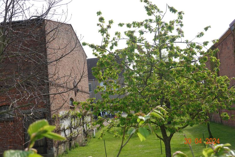 Einfamilienhaus in Schultetusstraße 21, 17153 Stavenhagen - Bild 5