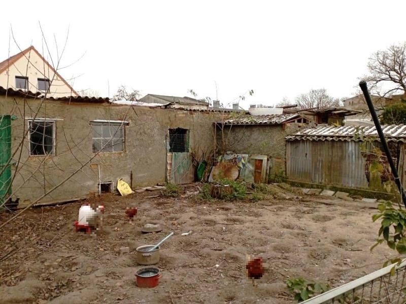 mecklenburg-vorpommern 613 K 34/23 An der Linde 3, 17039 Blankenhof 8