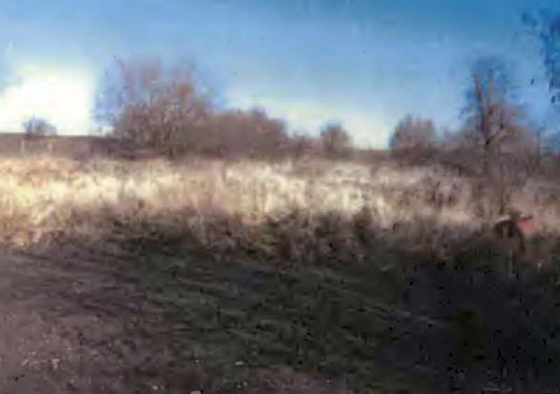 Einfamilienhaus in Tentzerow 21, 17111 Hohenmocker OT Tentzerow - Bild 5