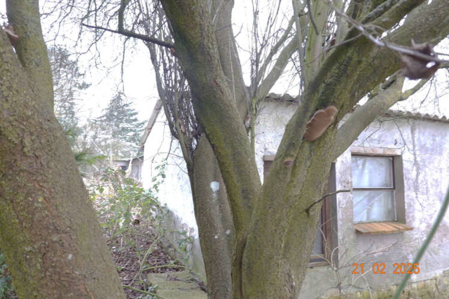 Grundstück in Dorfstraße, 17111 Hohenbollentin - Bild 3