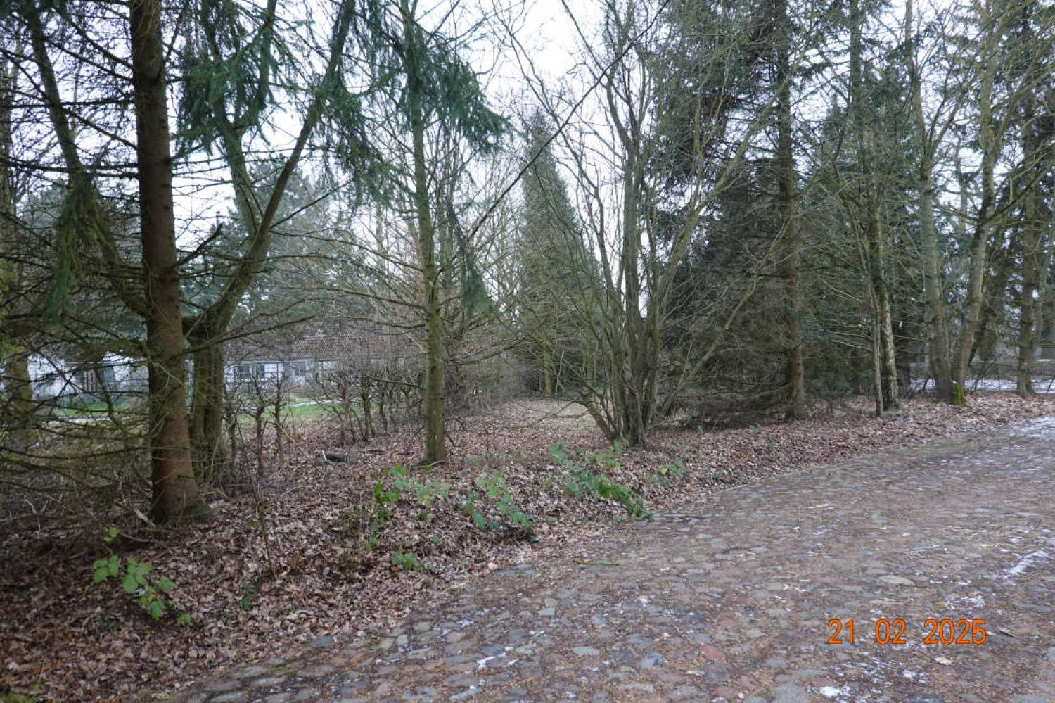 mecklenburg-vorpommern 613 K 42/24 Dorfstraße, 17111 Hohenbollentin 9
