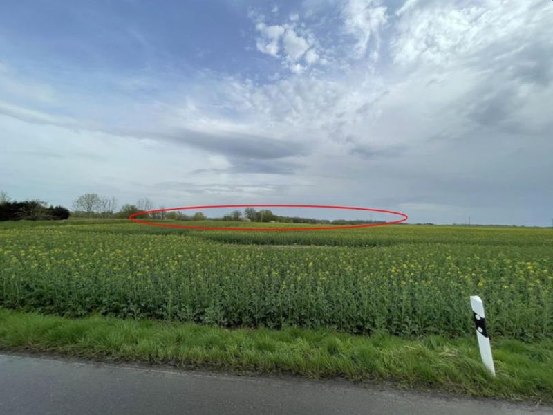 Land-/Forstwirtschaft in , 17039 Neuenkirchen