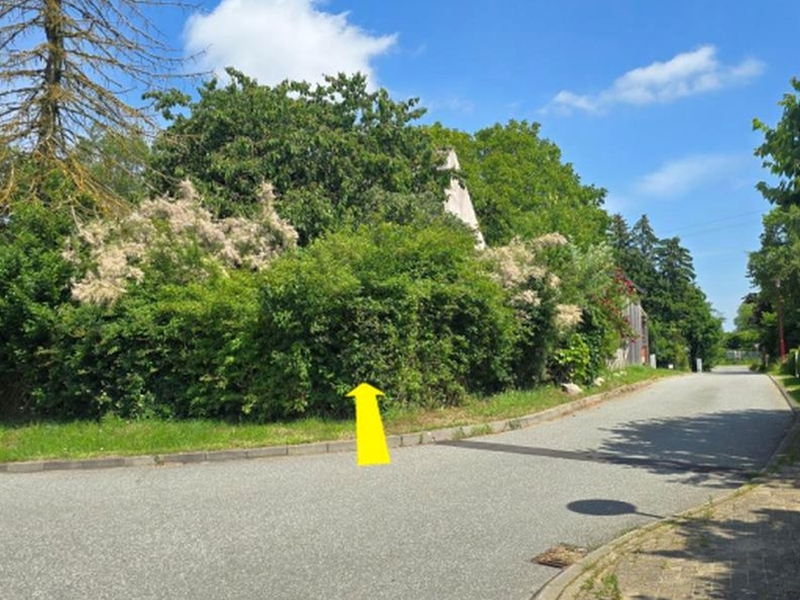 Einfamilienhaus in Kieskoppelbarg 4, 18196 Dummerstorf OT Kavelstorf - Niex - Bild 4