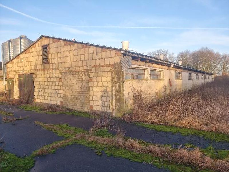 Gewerbeobjekt in Neu Elmenhorst, 18510 Elmenhorst - Bild 5