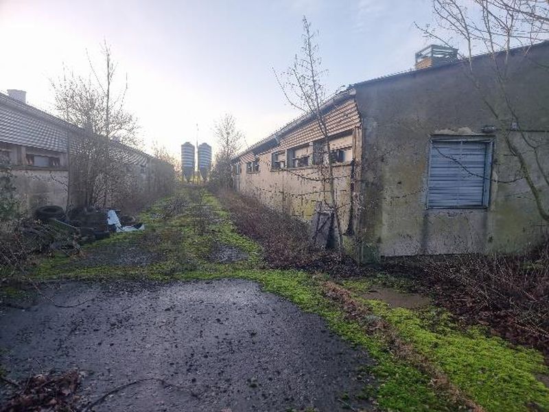 Gewerbeobjekt in Neu Elmenhorst, 18510 Elmenhorst - Bild 2