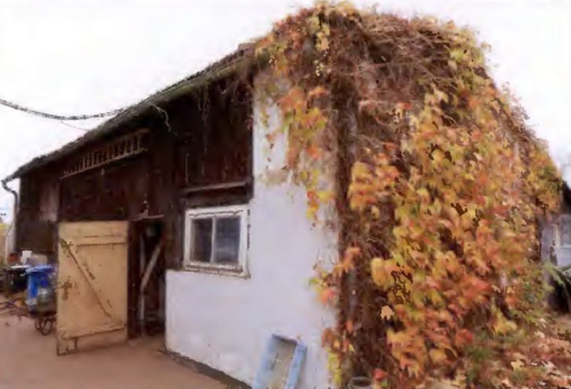 mecklenburg-vorpommern 703 K 38/24 Kirchstraße 9, 18347 Ostseebad Dierhagen 6