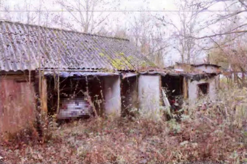 Einfamilienhaus in Pappelweg 3, 18337 Marlow OT Neu Guthendorf - Bild 4