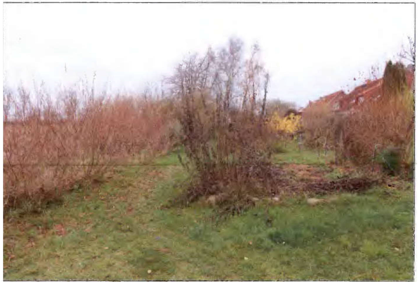 mecklenburg-vorpommern 703 K 68/24 Wiesenweg/Am Feldrain, 18442 Niepars 12