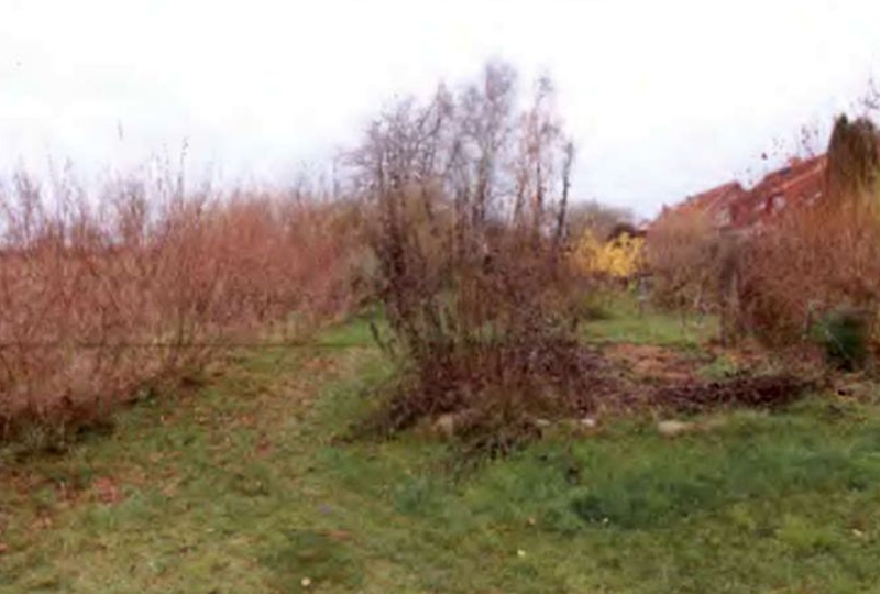 mecklenburg-vorpommern 703 K 68/24 Wiesenweg/Am Feldrain, 18442 Niepars 8