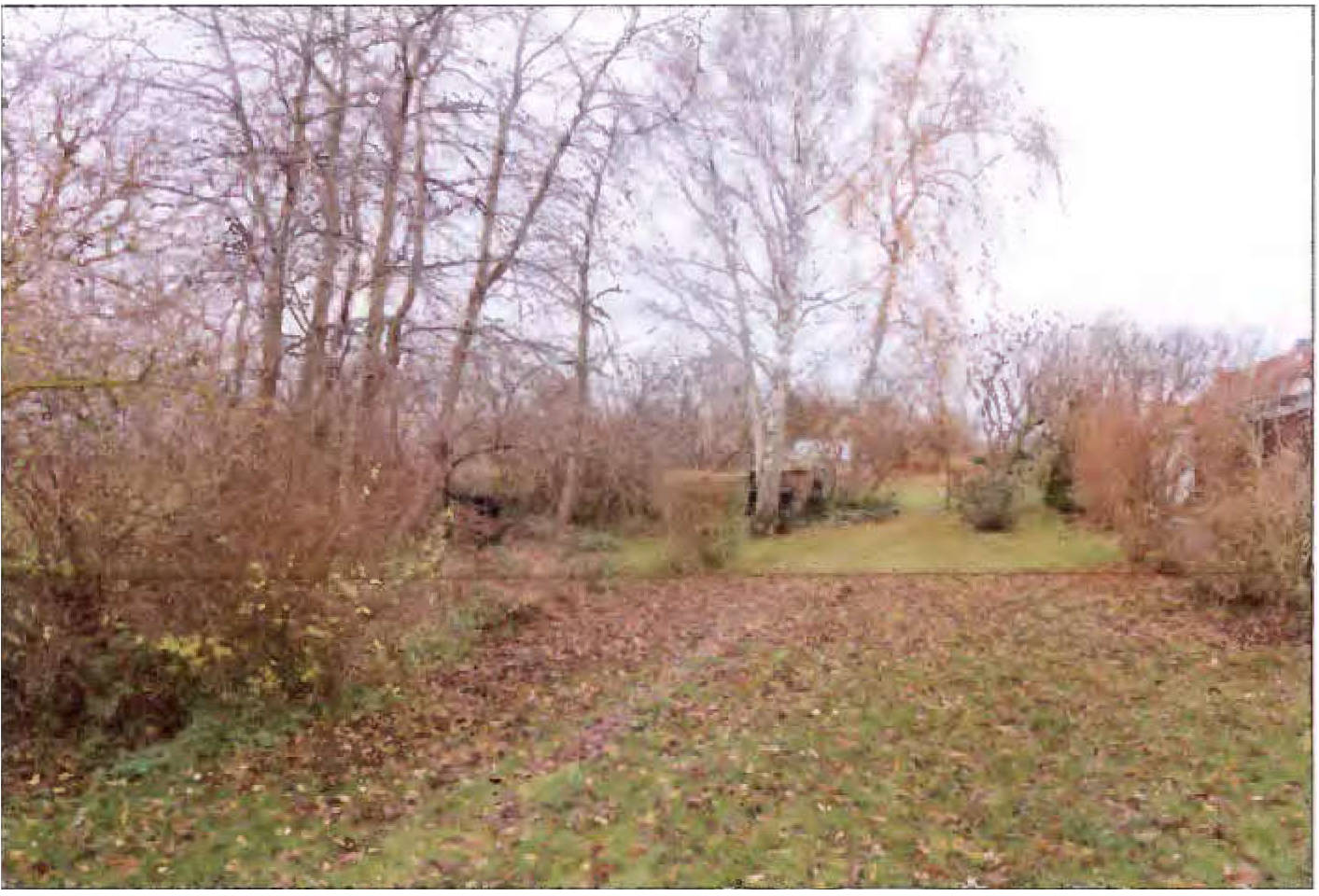 Grundstück in Wiesenweg/Am Feldrain, 18442 Niepars - Bild 3