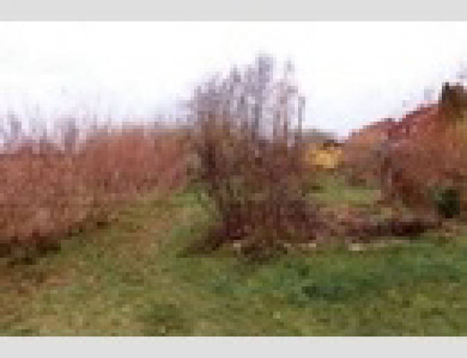 mecklenburg-vorpommern 703 K 68/24 Wiesenweg/Am Feldrain, 18442 Niepars 11