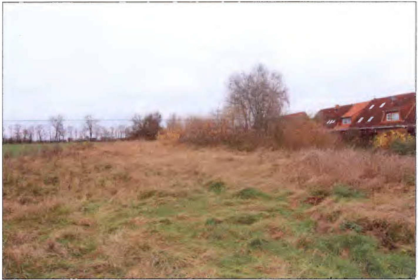 Grundstück 703 K 68-24 Wiesenweg/Am Feldrain, 18442 Niepars