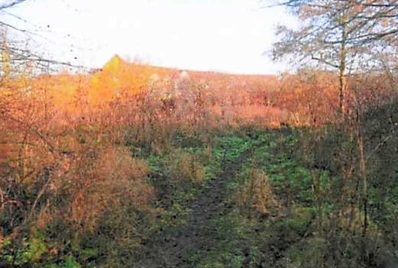 Grundstück in Kieler Ring, Anklamer Straße, Danziger Straße, 18437 Stralsund - Bild 2