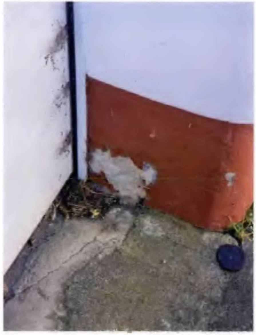 mecklenburg-vorpommern 703 K 90/24 Gartenstraße 2, 18445 Altenpleen 13