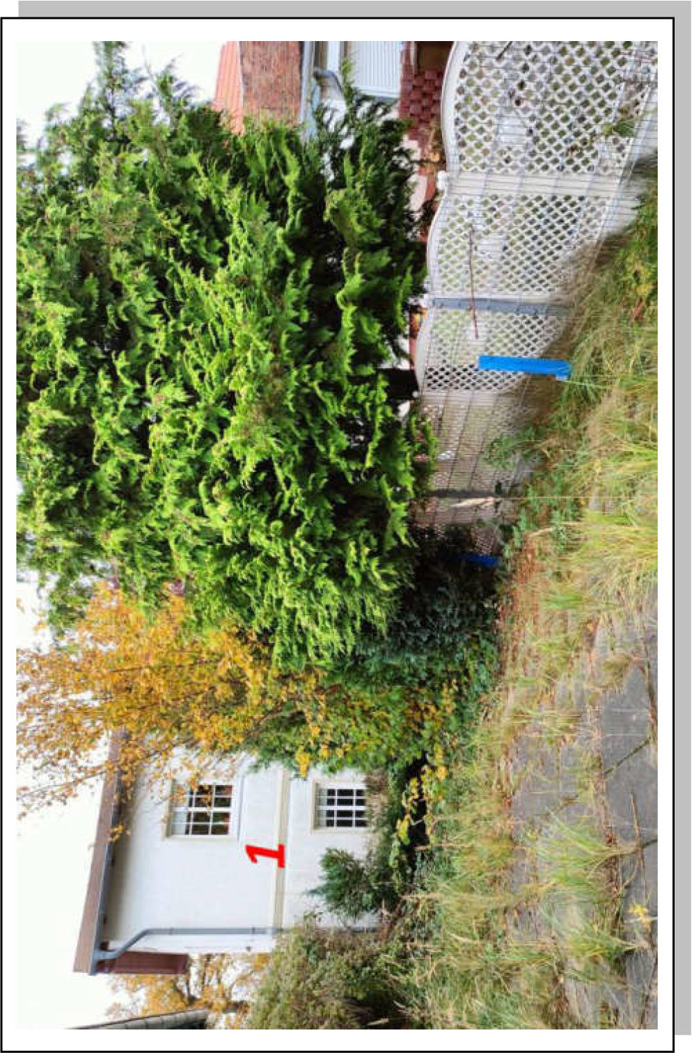 mecklenburg-vorpommern 704 K 56/23 Hauptstraße 8, 18546 Sassnitz 9