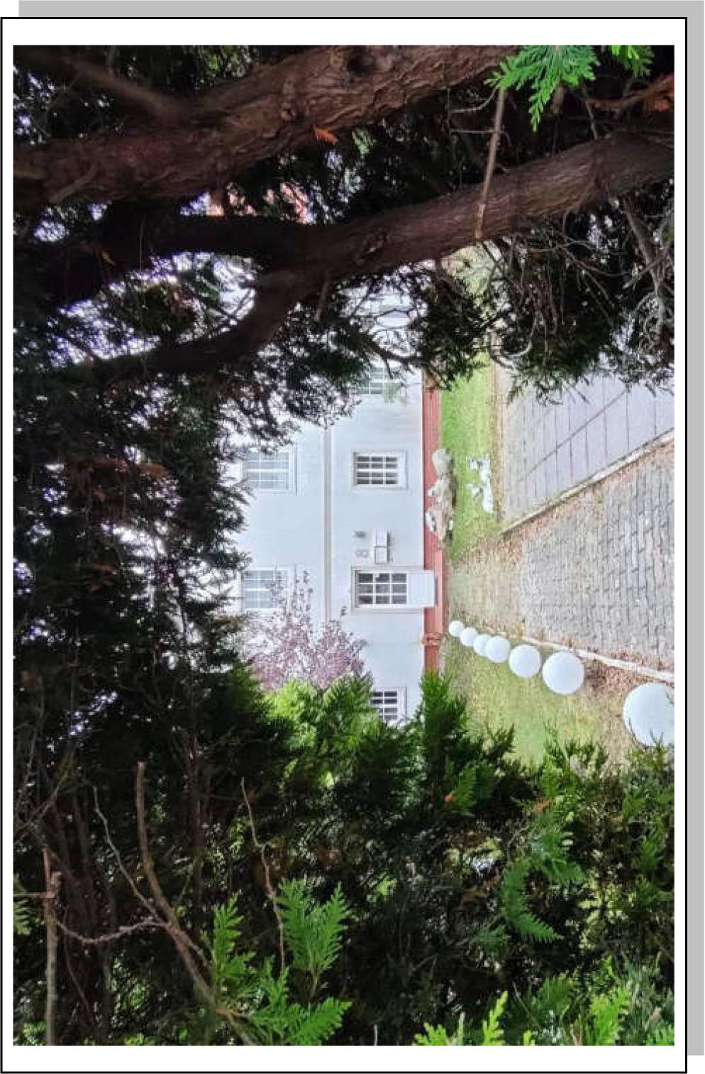 Wohnen/Gewerbe in Hauptstraße 8, 18546 Sassnitz - Bild 5