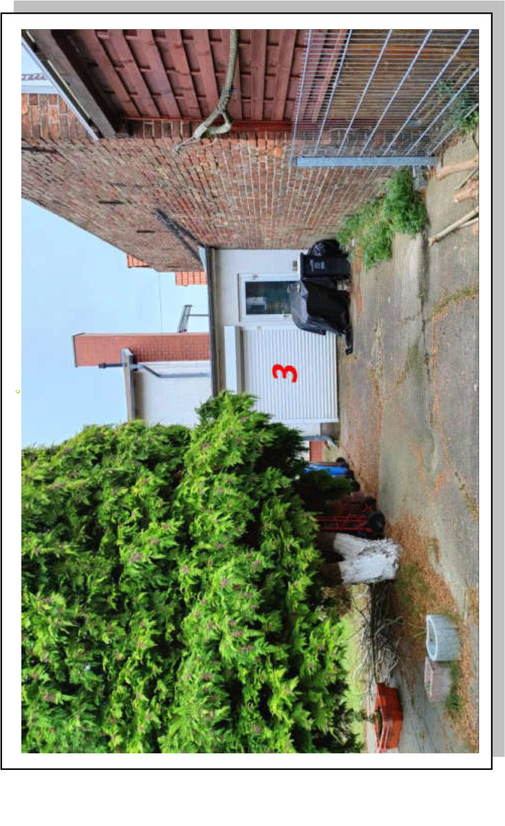 mecklenburg-vorpommern 704 K 56/23 Hauptstraße 8, 18546 Sassnitz 16