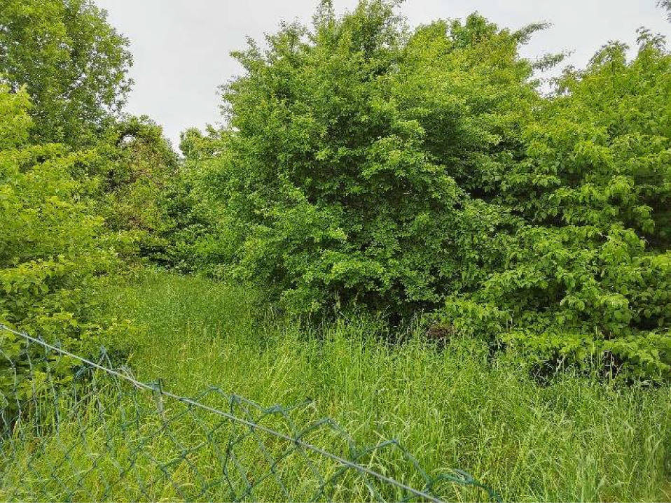Grundstück 821 K 39-24 nördlich der Teterower Straße, 17168 Jördenstorf