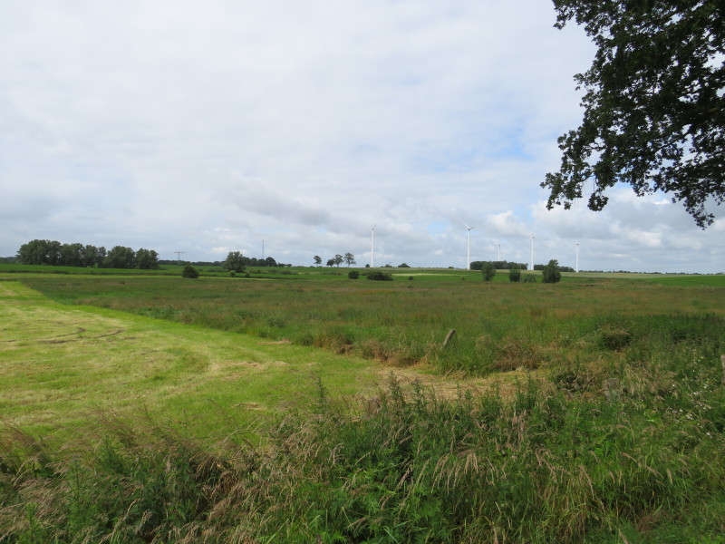 Land-/Forstwirtschaft in , 17179 Gnoien-Dölitz - Bild 4