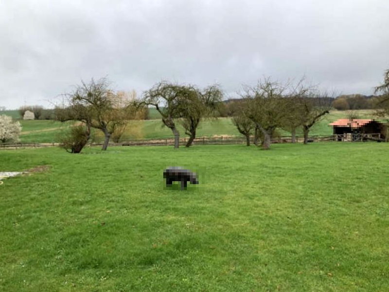 Mehrfamilienhaus in Zierstorf Ausbau 3, 17166 Groß Roge - Bild 3