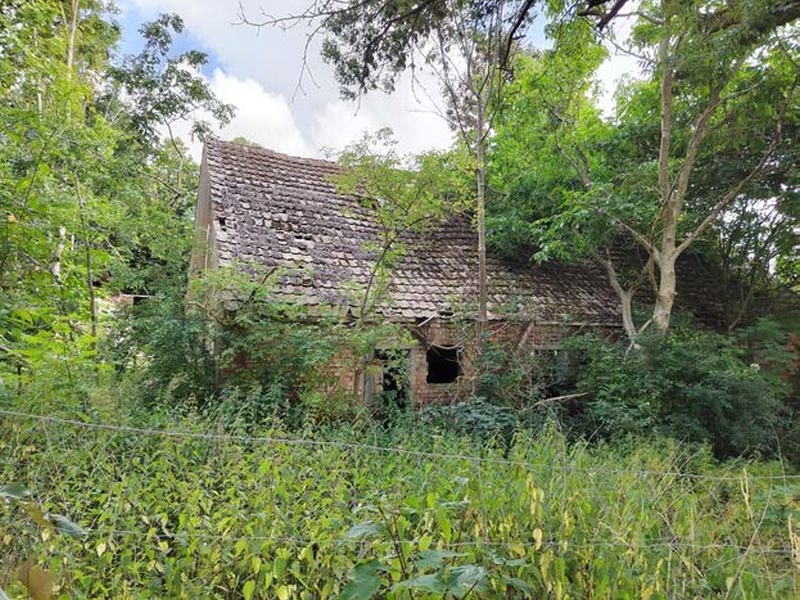 mecklenburg-vorpommern 822 K 26/23 Am Anger (ohne Hausnummer), 17158 Groß Markow 8