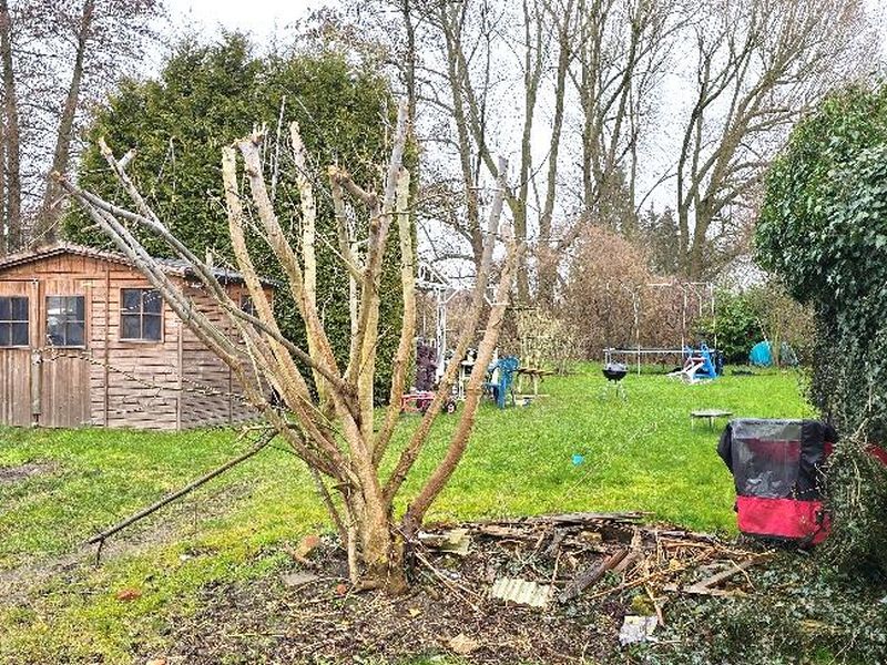 mecklenburg-vorpommern 822 K 33/24 Plauer Straße 13, 18273 Güstrow 6