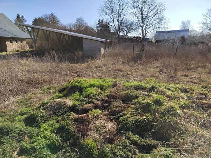 Einfamilienhaus in Hofstraße 21, 18279 Mamerow - Bild 4