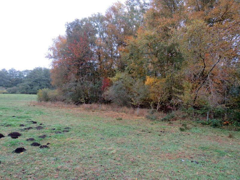 mecklenburg-vorpommern 822 K 9-22 , 18246 Bernitt OT Göllin