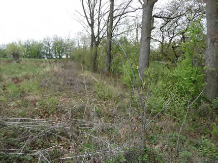 niederoesterreich 2 E 1/26m Hinterholz 11, 3062 Kirchstetten 11
