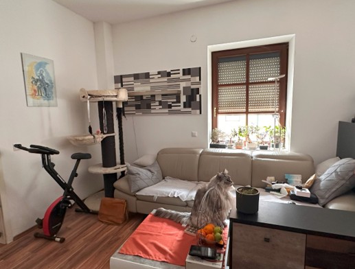 niederoesterreich 5 E 71/24p Augustinergasse 16, Rathgasse 25, 2500 Baden 5