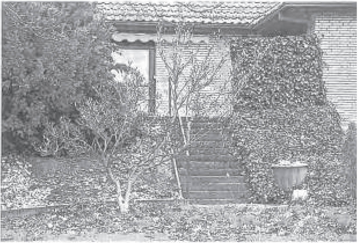 niedersachsen 0001K0007/2022 Tulpenstraße 15, 37434 Rhumspringe 11