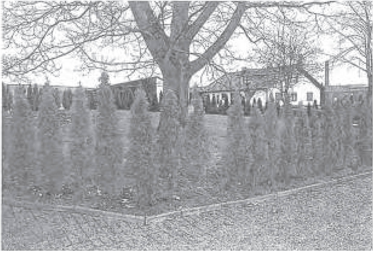 Einfamilienhaus in Tulpenstraße 15, 37434 Rhumspringe - Bild 2