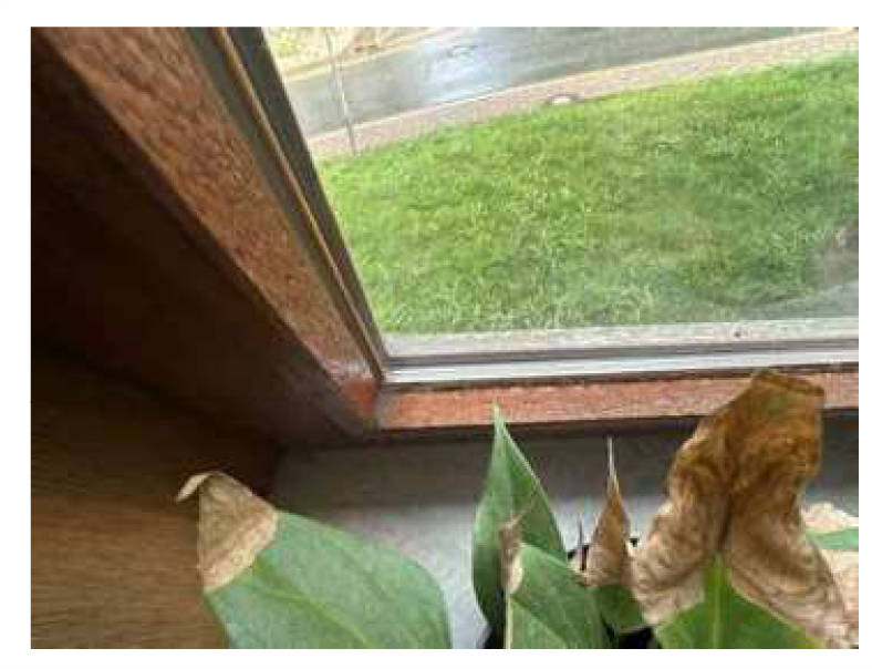 niedersachsen 0002 K 0021/2023 Breite Straße 3, 37444 St. Andreasberg 19