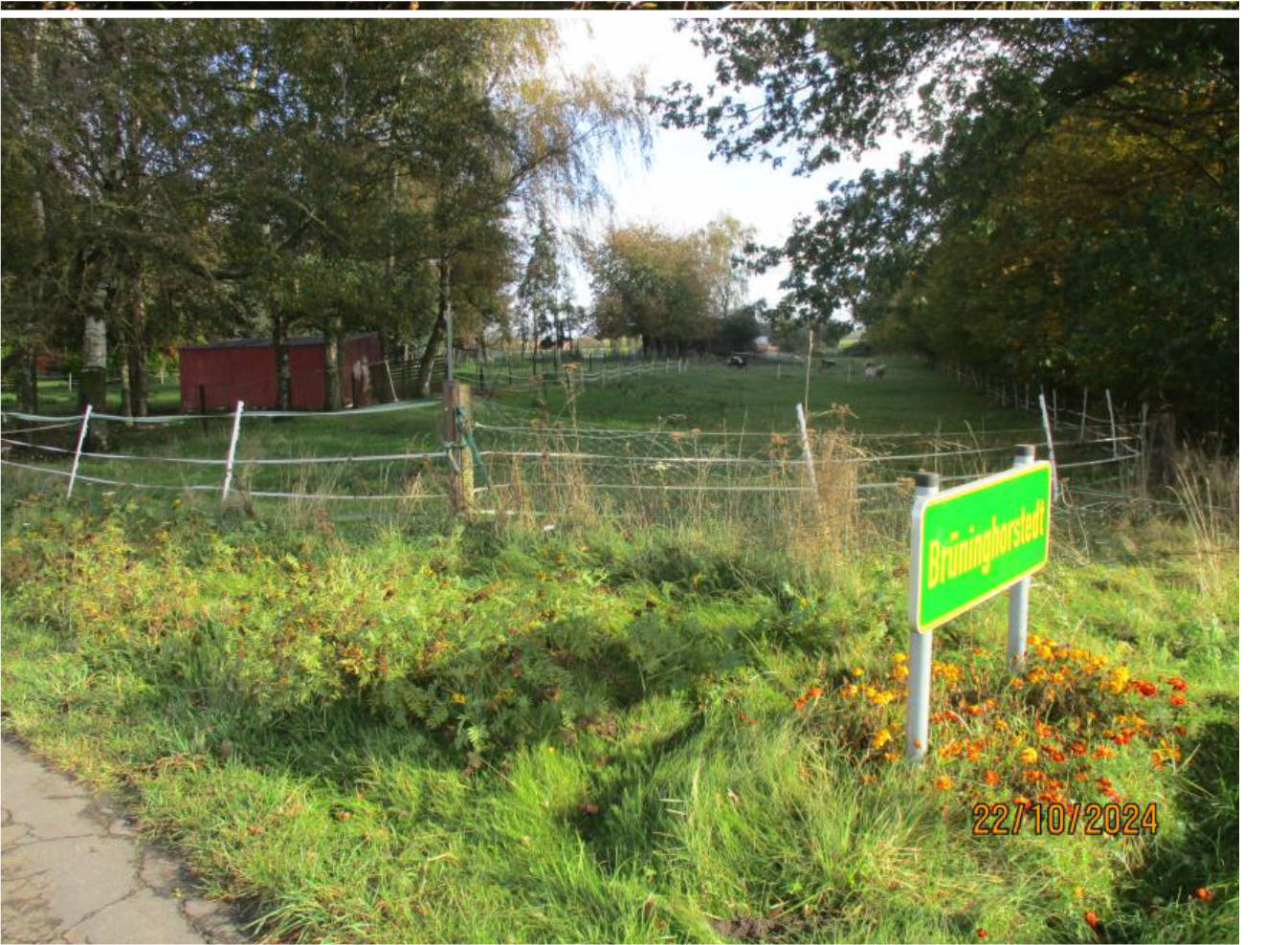 niedersachsen 0003K0001-2024 Halloer Feld, 31606 Warmsen, Brüninghorstedt