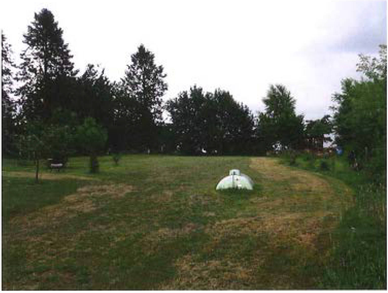 niedersachsen 0003 K 0001/2025 Wenzinger Straße 15, 29699 Walsrode, Uetzingen 11