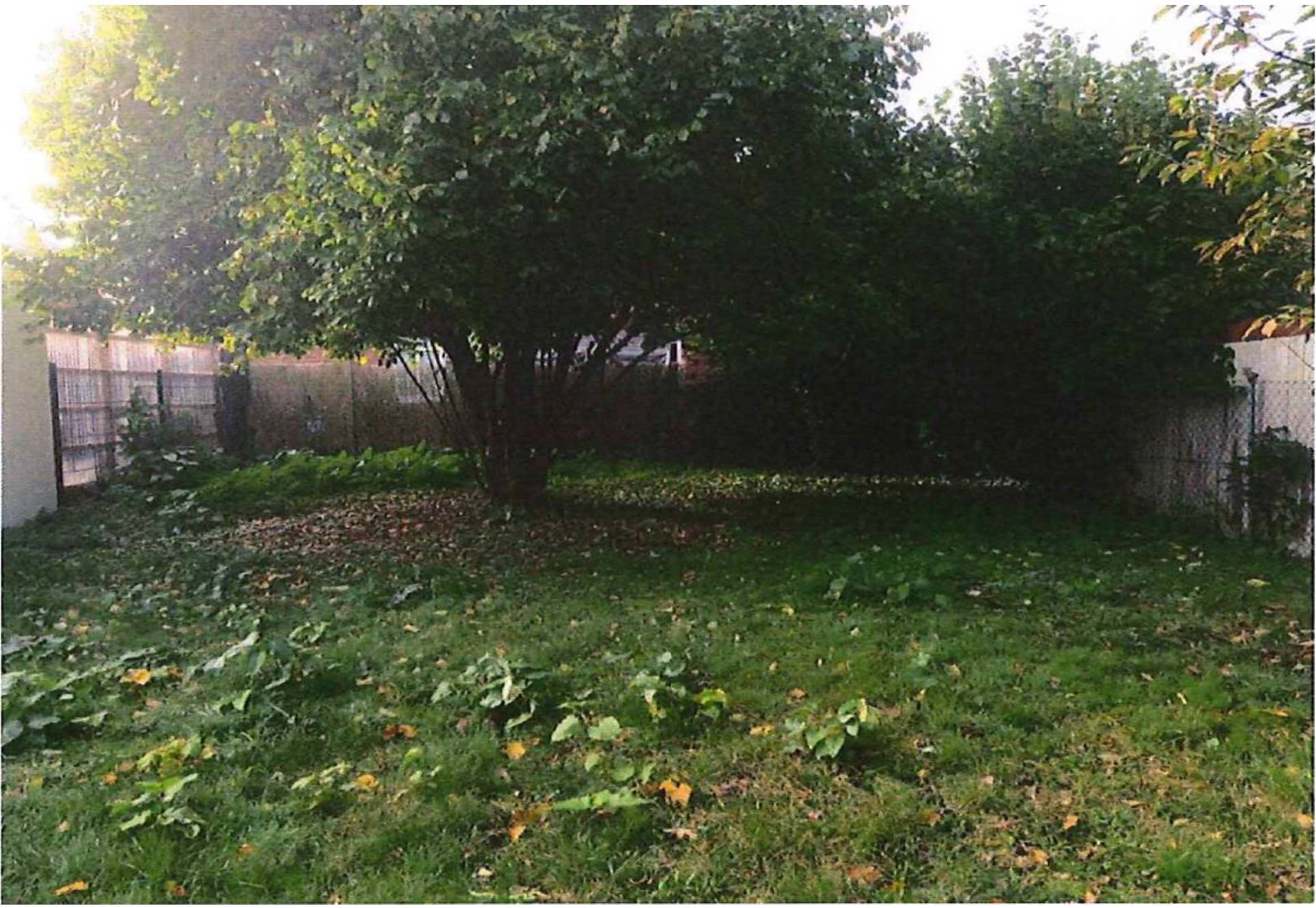 unbebautes Grundstück in Bahnhofstraße 9, 29690 Schwarmstedt - Bild 3