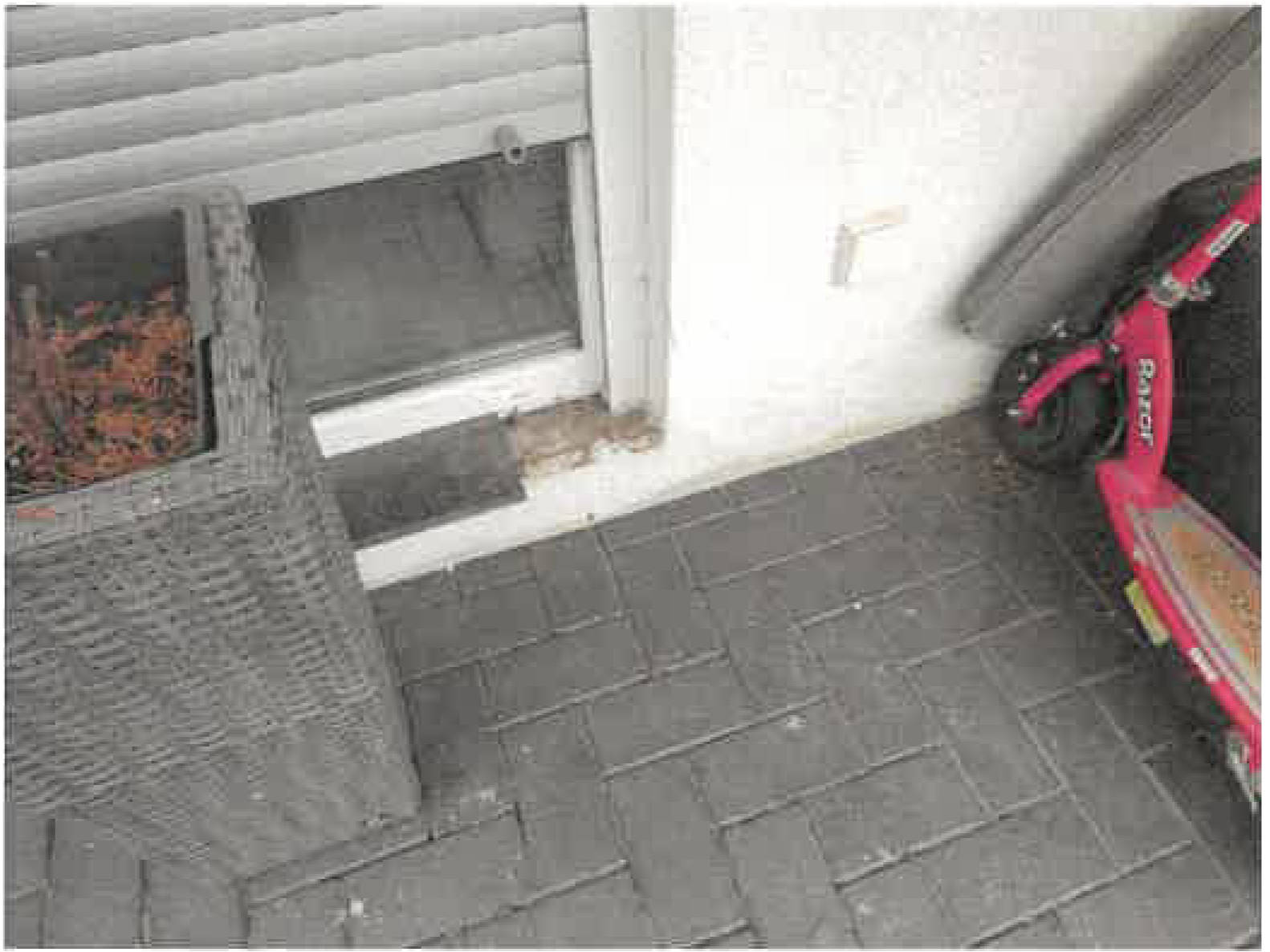 niedersachsen 0003 K 0005/2025 Am Berge 8, 29690 Schwarmstedt 12