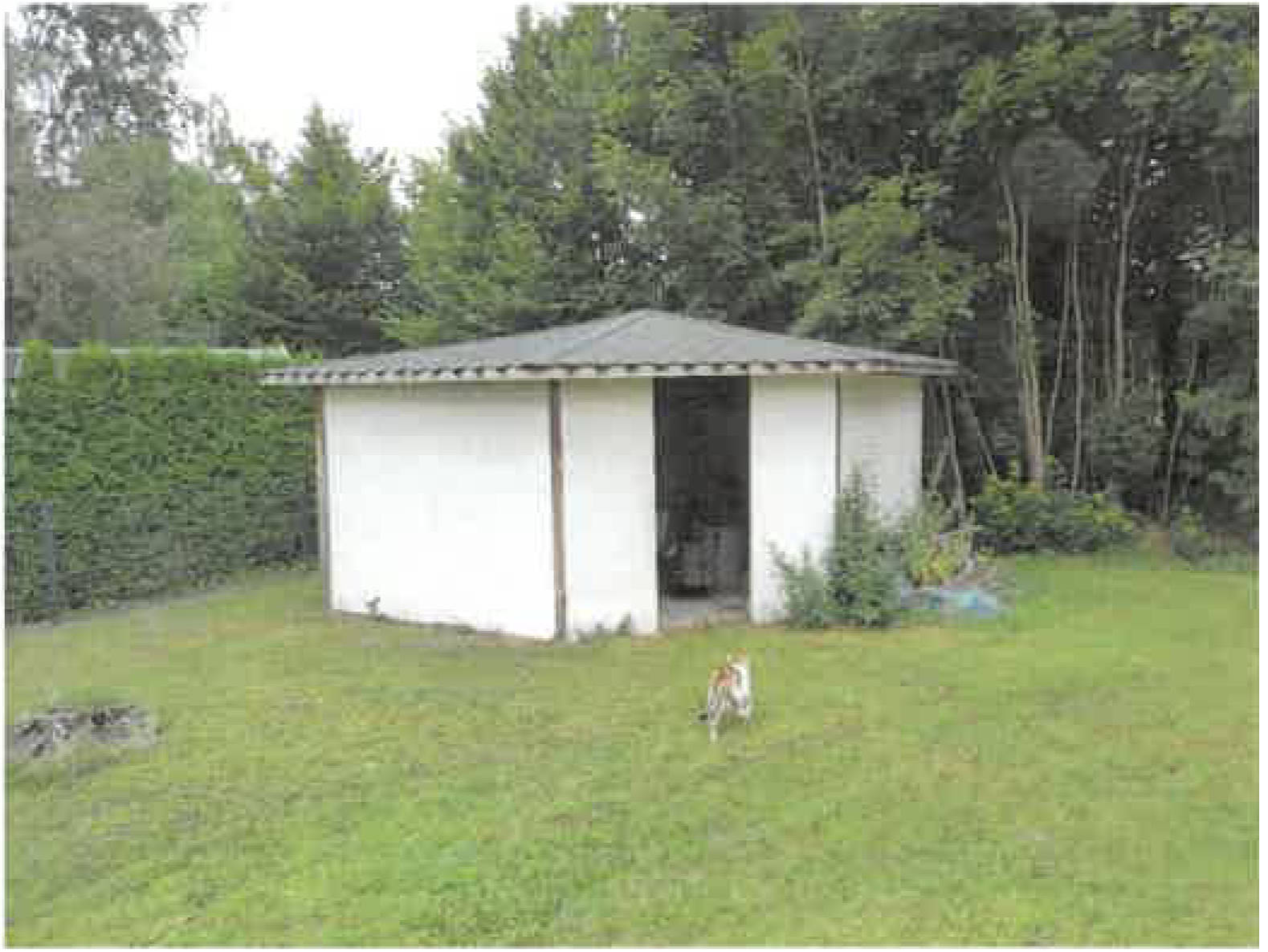 Einfamilienhaus in Am Berge 8, 29690 Schwarmstedt - Bild 4